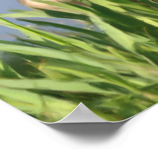 Canada Goose Inner Peace Inspirerend Quote Poster (Hoek)