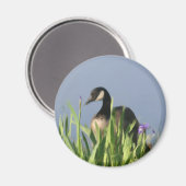 Canada Goose Irise Animal Art Magnet (Voorkant / Achterkant)