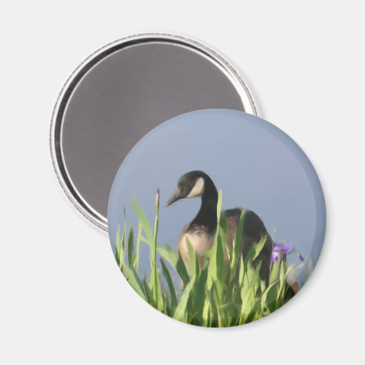 Canada Goose Irise Animal Art Magnet (Voorkant / Achterkant)