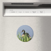 Canada Goose Irise Animal Art Magnet (Insitu (Vaatwasser))