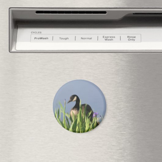 Canada Goose Irise Animal Art Magnet (Insitu (Vaatwasser))