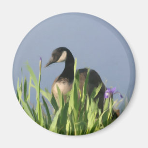 Canada Goose Irise Animal Art Magnet