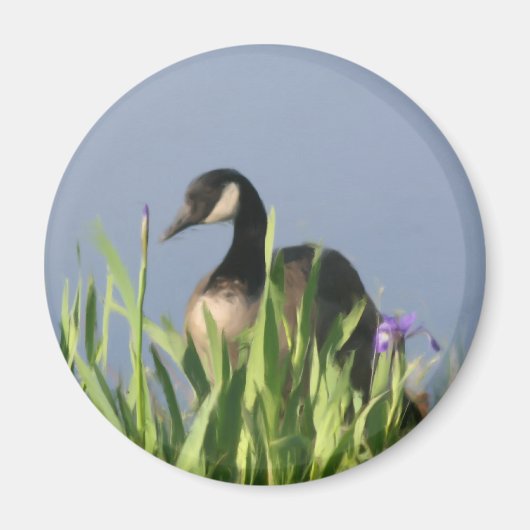 Canada Goose Irise Animal Art Magnet (Voorkant)