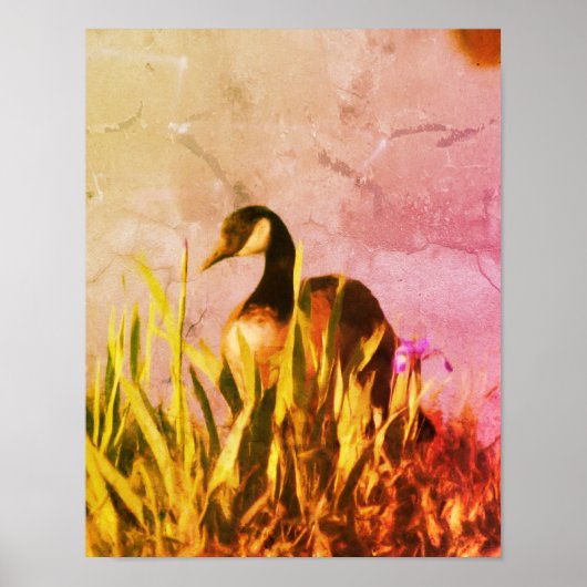 Canada Goose Irissen Distressed Natuur Art Poster (Voorkant)