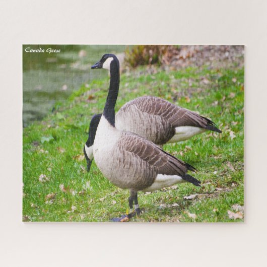 Canada Goose Jigzaag Puzzle Legpuzzel (Horizontaal)