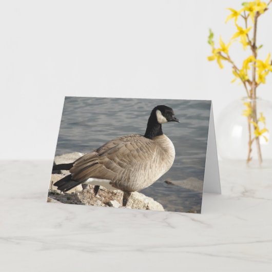 Canada Goose Kaart (Gele Bloem)