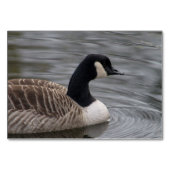 Canada Goose Kaart (Voorkant)