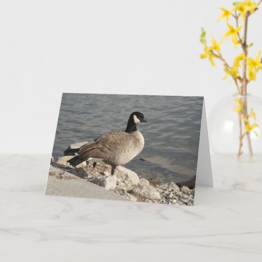 Canada Goose Kaart (Gele Bloem)