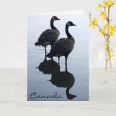 Canada Goose Kaarten Canada Gese Wenskaarten (Gele Bloem)
