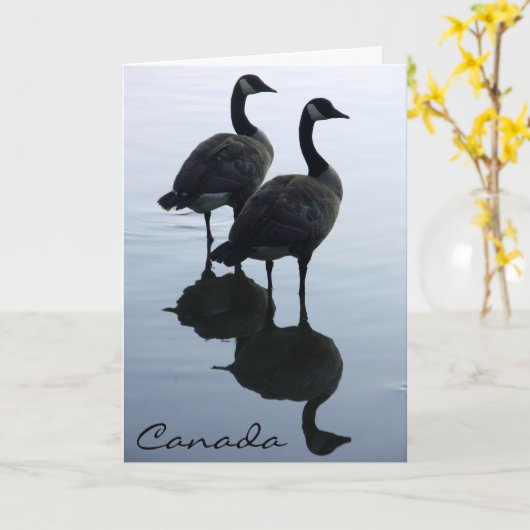 Canada Goose Kaarten Canada Gese Wenskaarten (Gele Bloem)
