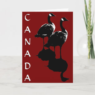 Canada Goose Kaarten Canada Gese Wenskaarten