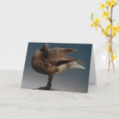 Canada Goose Kaarten Canada Gese Wenskaarten (Gele Bloem)