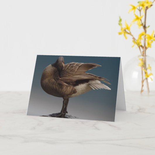 Canada Goose Kaarten Canada Gese Wenskaarten (Gele Bloem)