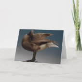Canada Goose Kaarten Canada Gese Wenskaarten (Voorkant)