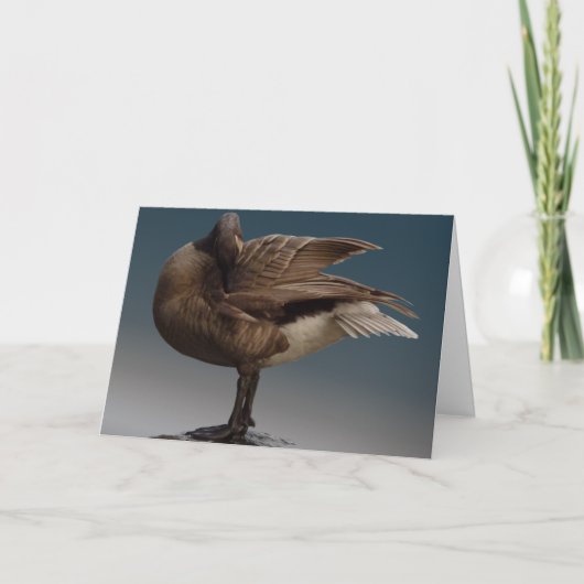 Canada Goose Kaarten Canada Gese Wenskaarten (Voorkant)