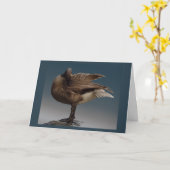 Canada Goose Kaarten Canada Gese Wenskaarten (Gele Bloem)