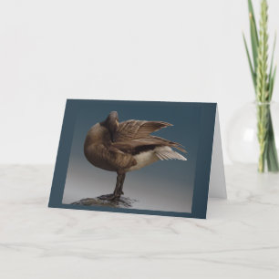 Canada Goose Kaarten Canada Gese Wenskaarten