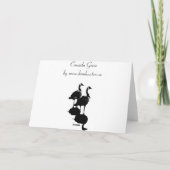 Canada Goose Kaarten Canada Gese Wenskaarten (Achterkant)