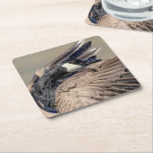 Canada Goose Kartonnen Onderzetters (Schuin)