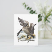 Canada Goose, Kunst Briefkaart (Staand voorkant)