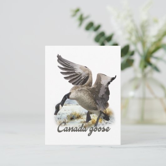 Canada Goose, Kunst Briefkaart (Staand voorkant)