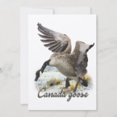 Canada Goose, Kunst Kaart (Voorkant)