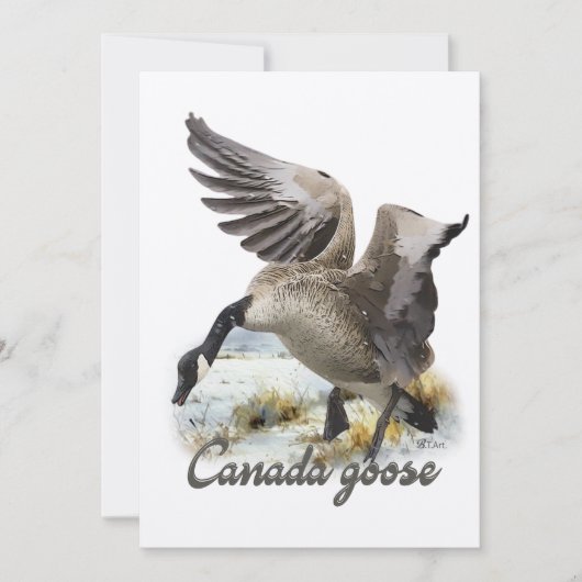 Canada Goose, Kunst Kaart (Voorkant)