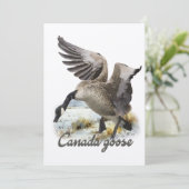 Canada Goose, Kunst Kaart (Staand voorkant)