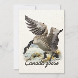 Canada Goose, Kunst Kaart
