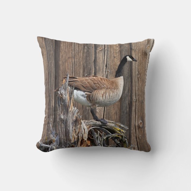 CANADA GOOSE KUSSEN (Voorkant)