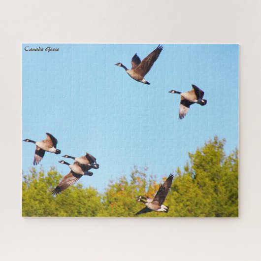 Canada Goose Legpuzzel (Horizontaal)