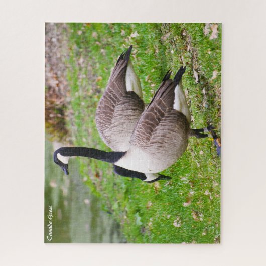 Canada Goose Legpuzzel (Verticaal)