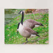 Canada Goose Legpuzzel (Horizontaal)