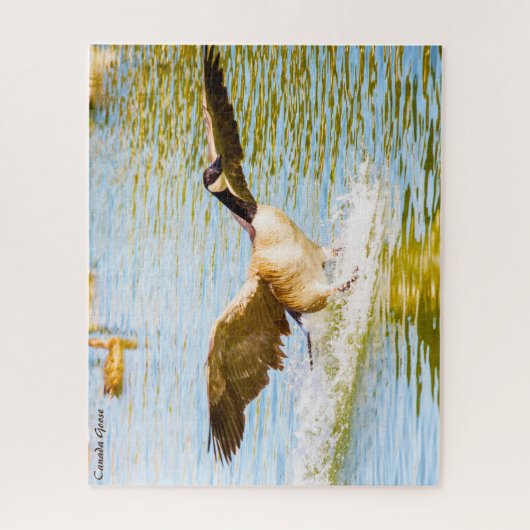 Canada Goose Legpuzzel (Verticaal)