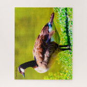 Canada Goose Legpuzzel (Verticaal)