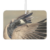 Canada Goose Luchtverfrisser (Voorkant)