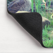 Canada Goose Ma Babies Natuur Muismat (Hoek)