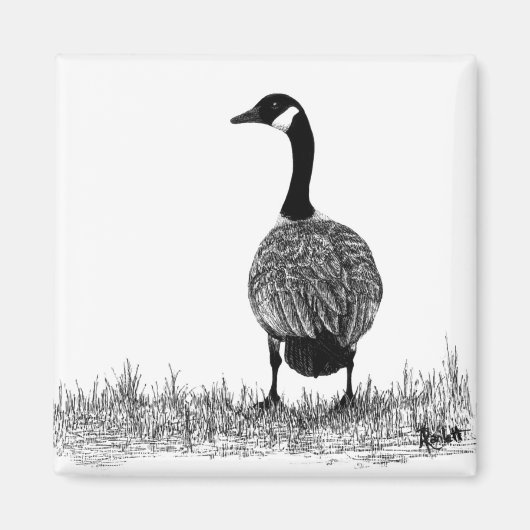 Canada Goose Magnet (Voorkant)