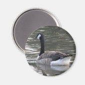 Canada Goose Magnet (Voorkant / Achterkant)