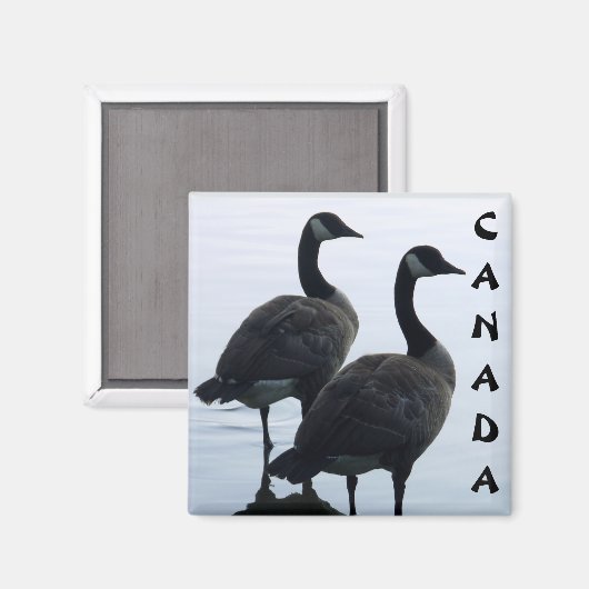 Canada Goose Magnet Canada Souvenir Fridge Magnets (Voorkant / Achterkant)