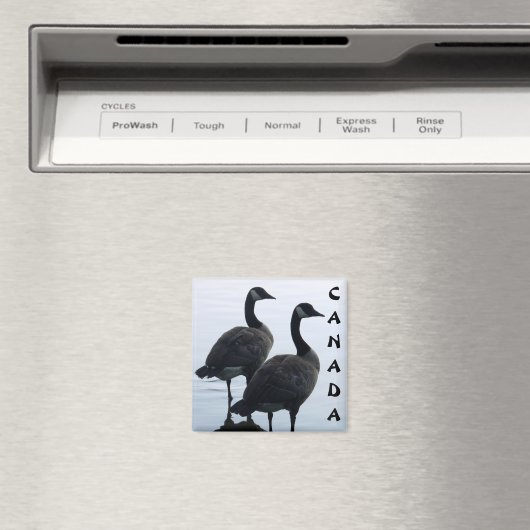 Canada Goose Magnet Canada Souvenir Fridge Magnets (Insitu (Vaatwasser))