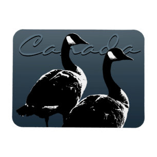 Canada Goose Magnet Canada Souvenir Fridge Magnets Magneet
