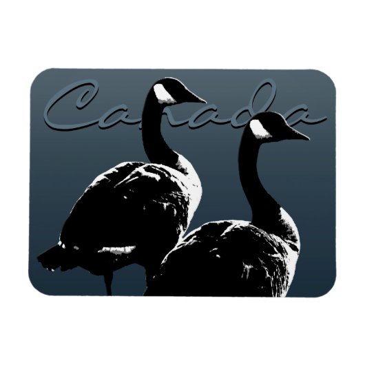 Canada Goose Magnet Canada Souvenir Fridge Magnets Magneet (Horizontaal)