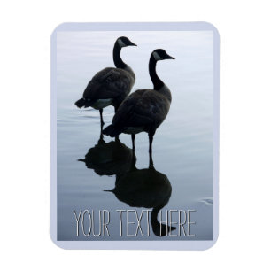 Canada Goose Magnet Canada Souvenir Fridge Magnets Magneet