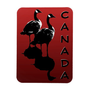 Canada Goose Magnet Canada Souvenir Fridge Magnets Magneet