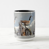 CANADA GOOSE MOK (Midden)