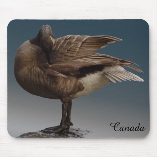 Canada Goose Mousepad Gold Canada Goose Muismatten (Voorkant)