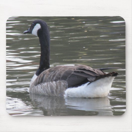Canada Goose Mousepad Muismat (Voorkant)