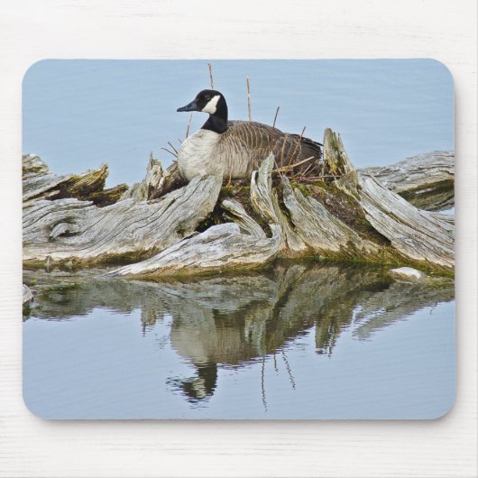 Canada Goose Muismat (Voorkant)