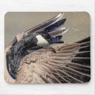 Canada Goose Muismat